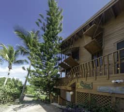 Treehouse in Paradise